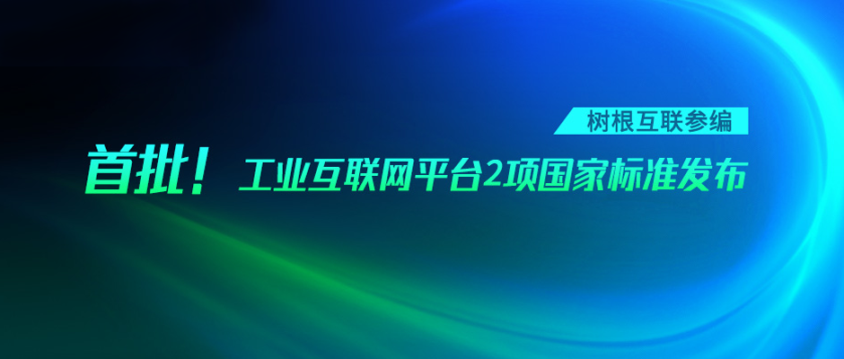 首批！工业互联网平台2项国家标准发布，美狮贵宾会·(中国大陆)官方网站参编